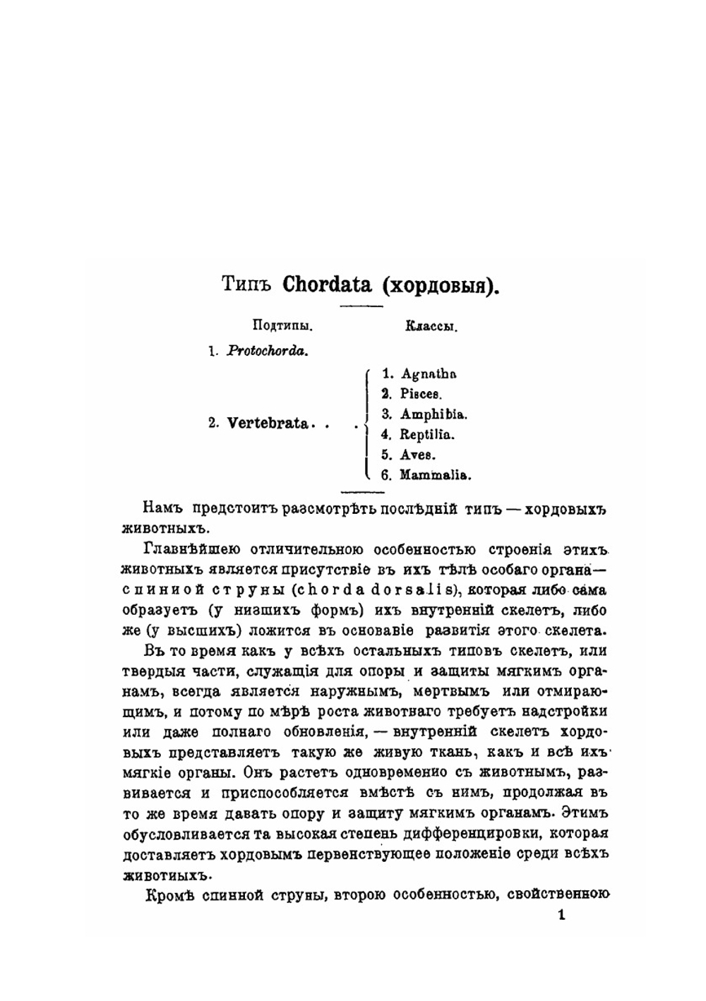 Курс палеонтологии. Часть 2 | А. А. Борисяк