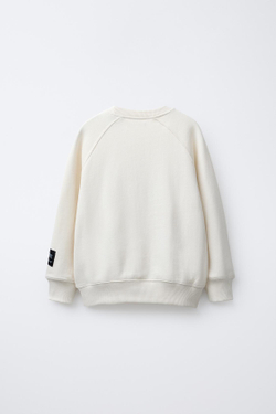 ZARA ТОЛСТОВКА С ПРИНТОМ POKÉMON ™, ЭКРЮ