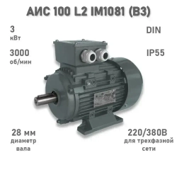 Электродвигатель ЭЛМАШ АИС 100 L2 IM1081 (B3) AL (3 кВт 3000 об/мин)