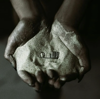 Джули Данкли (Julie Dunkley)