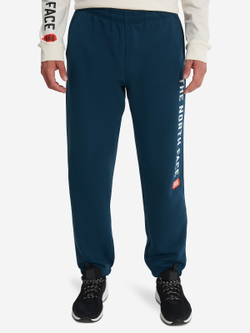 Брюки спортивные мужские THE NORTH FACE M PANT VARSITY GRAPHIC