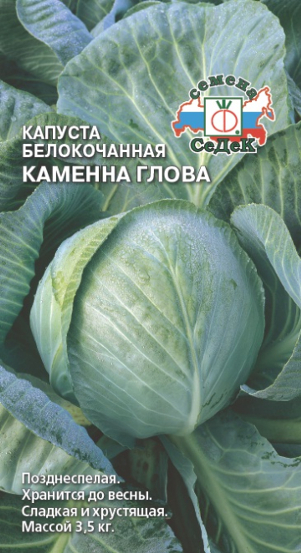 Капуста б/к Каменна глова Седек