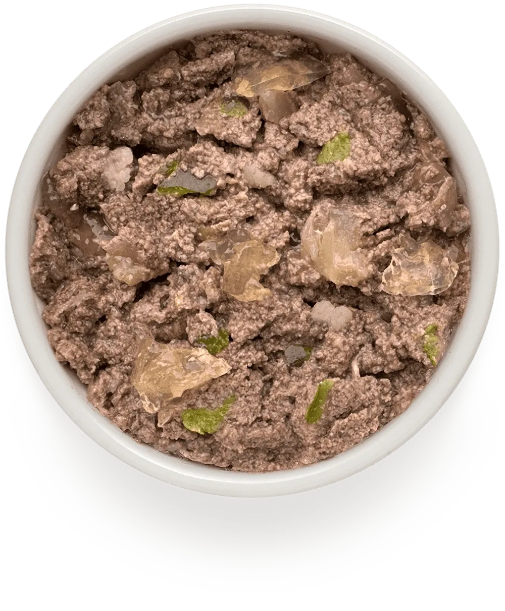 Консервы GRANDORF FRESH для собак, паштет из ягненка с цуккини и цветной капустой