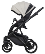 Детская коляска Riko Basic Montana Ecco 3 в 1 31 Light Silver-Black