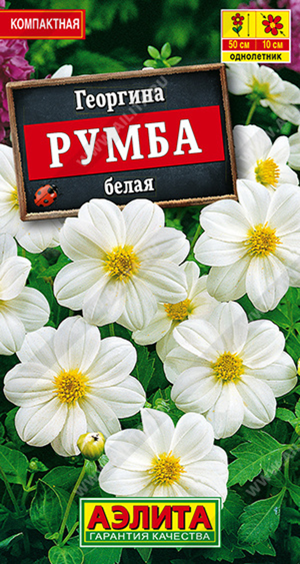 Георгина Румба белая 0,3гр Аэлита