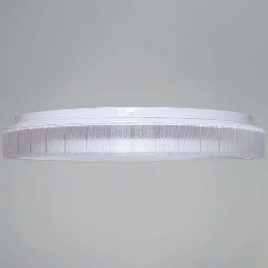 13001-0.5-500 светильник потолочный