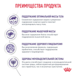 Royal Canin NEUTERED BALANCE Корм влажный для взрослых стерилизованных кошек склонных к набору веса соус 85г