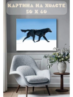 Картина на стену 40 X 50 Собака