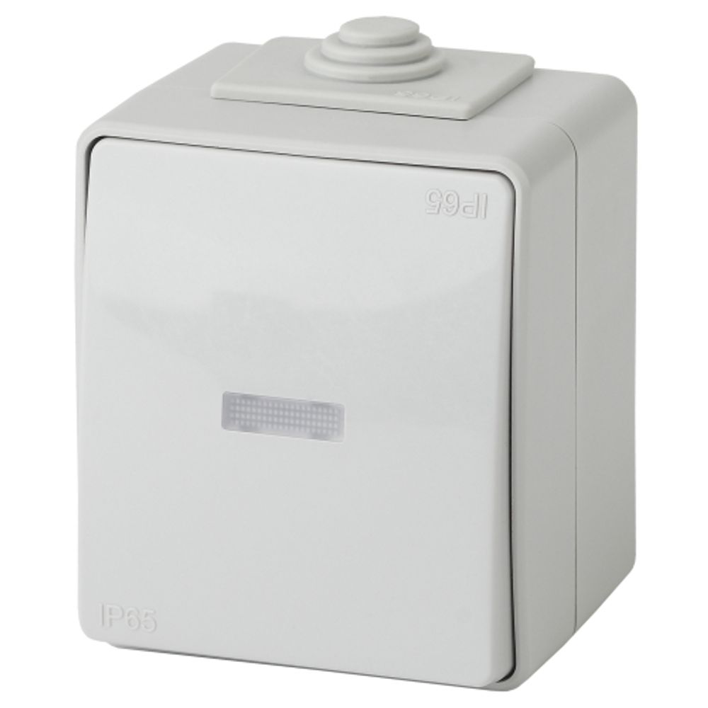 Переключатель ЭРА Эксперт 11-1610-03 с подсветкой IP65 10АХ-250В ОУ серый | Эра Эксперт