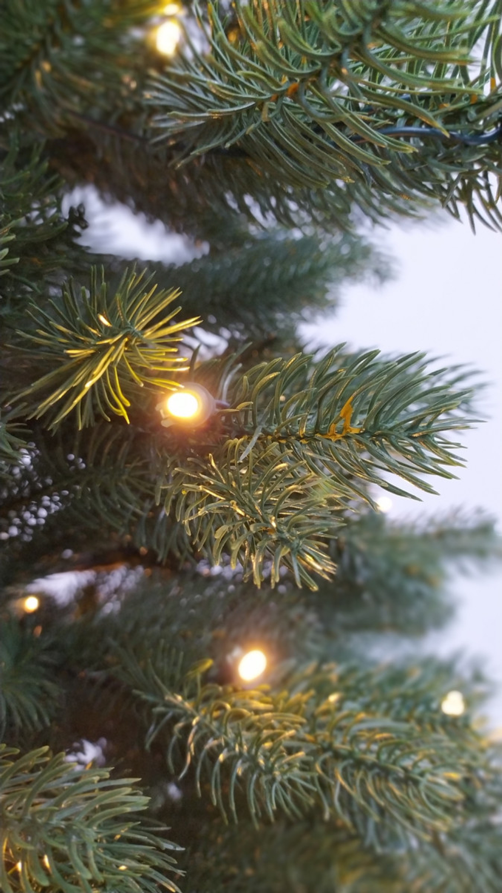 Ель Швейцарская 100% литая 215см 300 ламп зеленая Black Box