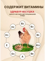 Здравур Несушка Кормовая добавка для кур 1500гр *2шт