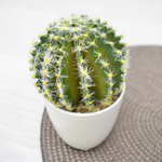 Цветы искусственные в кашпо, PP/PVC