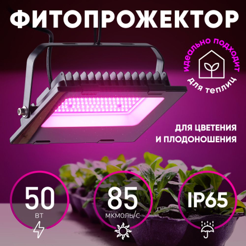 Фитопрожектор для растений светодиодный ЭРА FITO-50W-RB-LED для цветения и плодоношения красно-синего спектра 50 Вт | Фито прожекторы