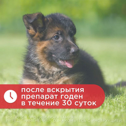 Капли ушные АВЗ Анандин противовоспалительные для собак и кошек, 5 мл