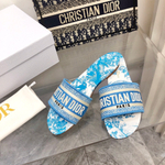 Christian Dior Dway Slide