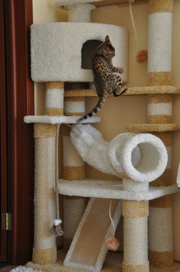 Домик когтеточка для кошки И-18