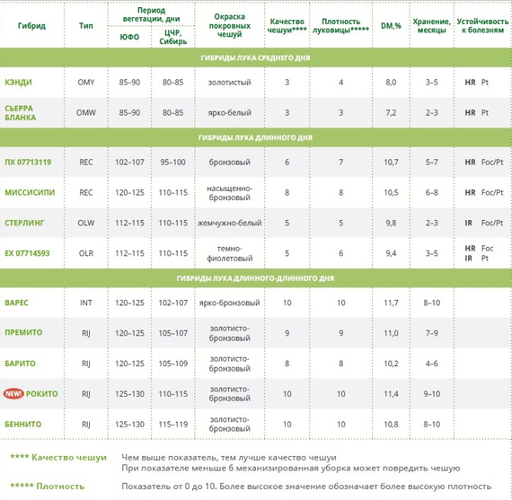 Стерлинг F1 семена лука репчатого (Seminis / Семинис) – фото 7