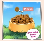 Сухой корм для собак ZILLII (Зилли) Dog Adult 0,8кг белая рыба и лосось сухой для собак