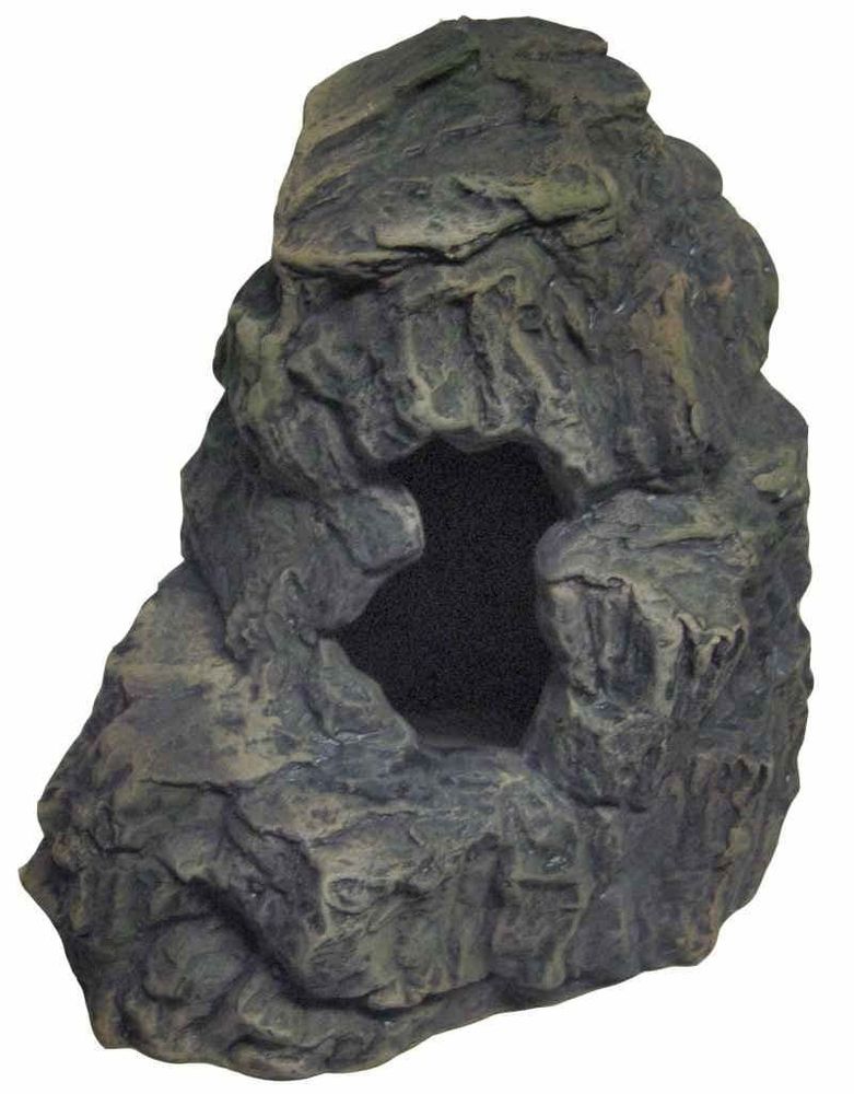 СКАЛА 5С5