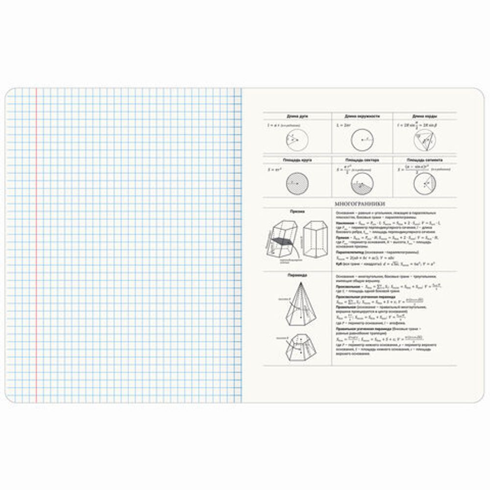 Тетрадь предметная МЕМЫ 48 л., TWIN-лак, ГЕОМЕТРИЯ, клетка, подсказ, BRAUBERG, 405101
