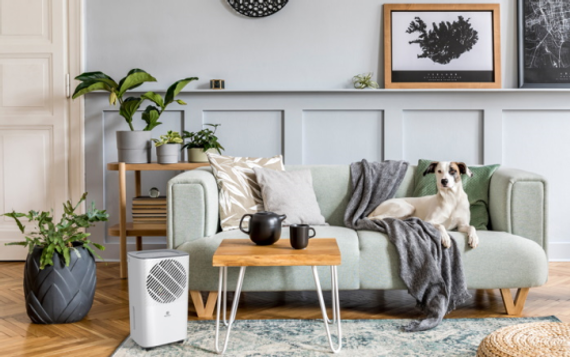 Осушитель воздуха серии CARISMA Studio RD-CR10-E — (8)