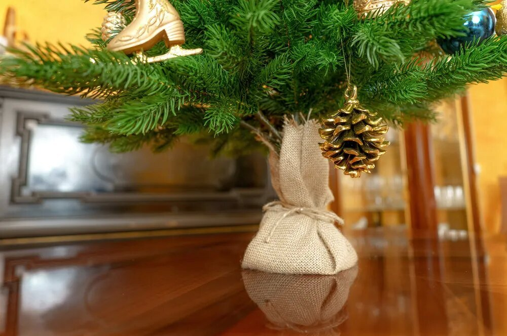 Ель Царь Елка Астерия Премиум 90см 3D