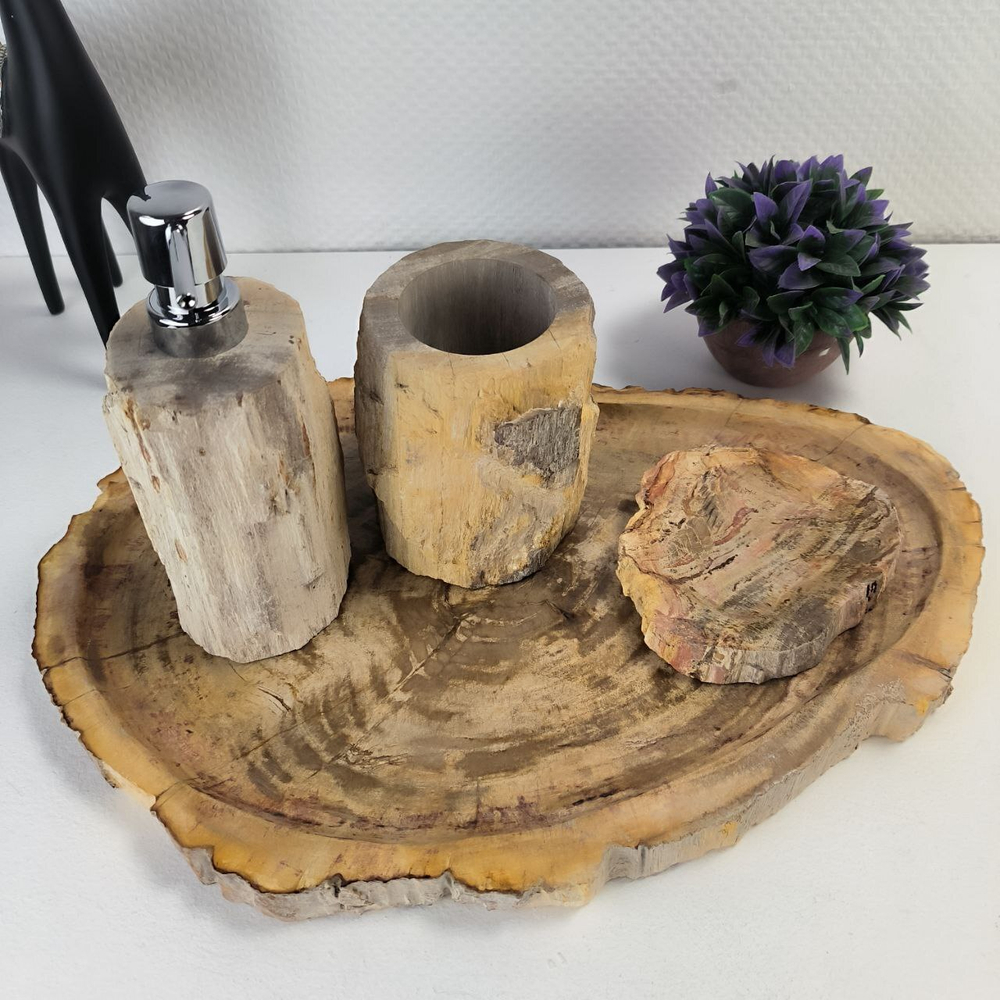 Набор из окаменелого дерева 4 предм Fossil Set NF-63062 поднос 29см*43см