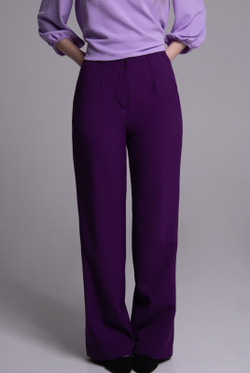 Брюки женские 02, Баклажан #513Бак0202
