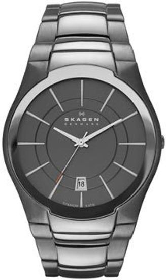 Наручные часы Skagen SKW6030