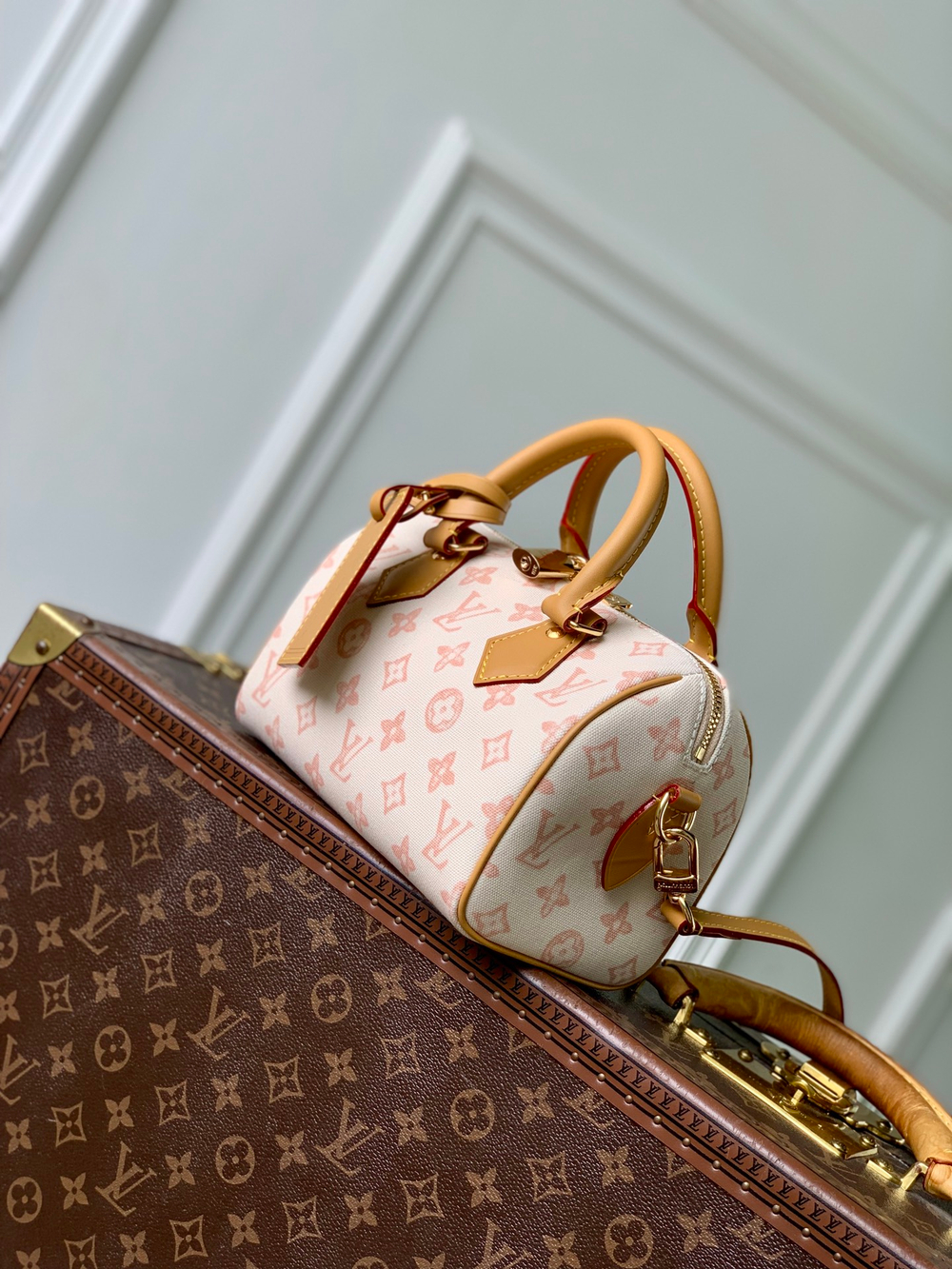 Louis Vuitton Speedy Bandouliere 20