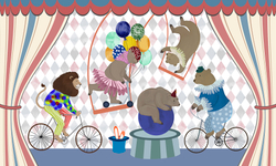 Коллекция CIRCUS