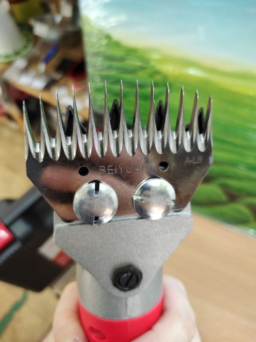 Машинка для стрижки овец EWE 3000