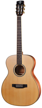 Электроакустическая гитара, CRAFTER MIND-T ALPe/N