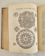 "The decorative painters and glaziers guide; containing the most approved methods of imitating oak, mahogany, maple, rose, cedar, coral, and every other kind of fancy wood". Whittock, N.. 1841г. - антикварная книга