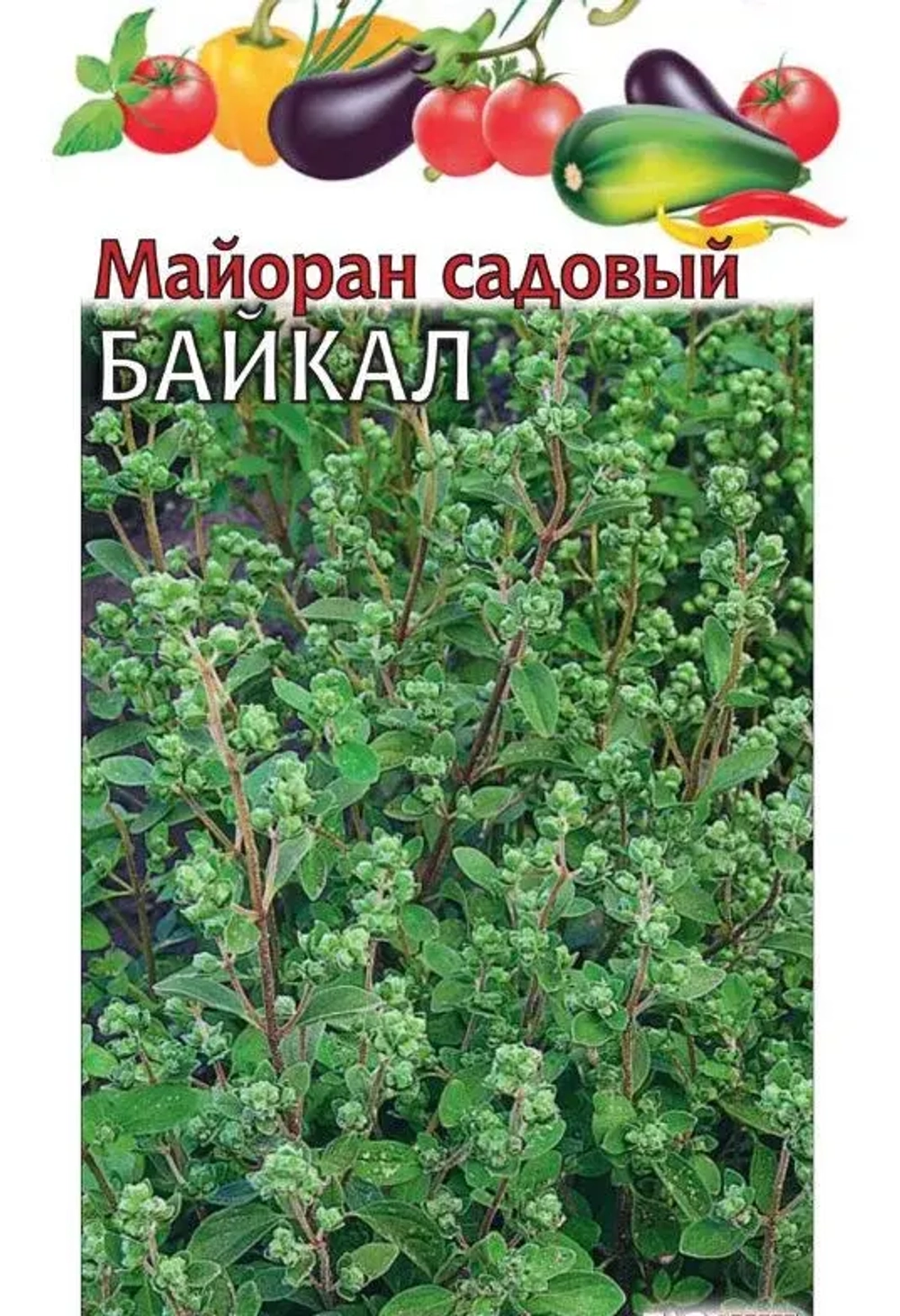 Майоран садовый Байкал