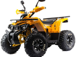 Квадроцикл MOTOLAND 125 WILD X PRO А