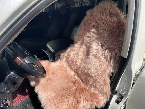 Светло Коричневый / Шкура из натуральной овчины ковер, цвет светло коричневый, размеры 60х105 см, АКЕЯ, без крепежа (за 1 шт.)