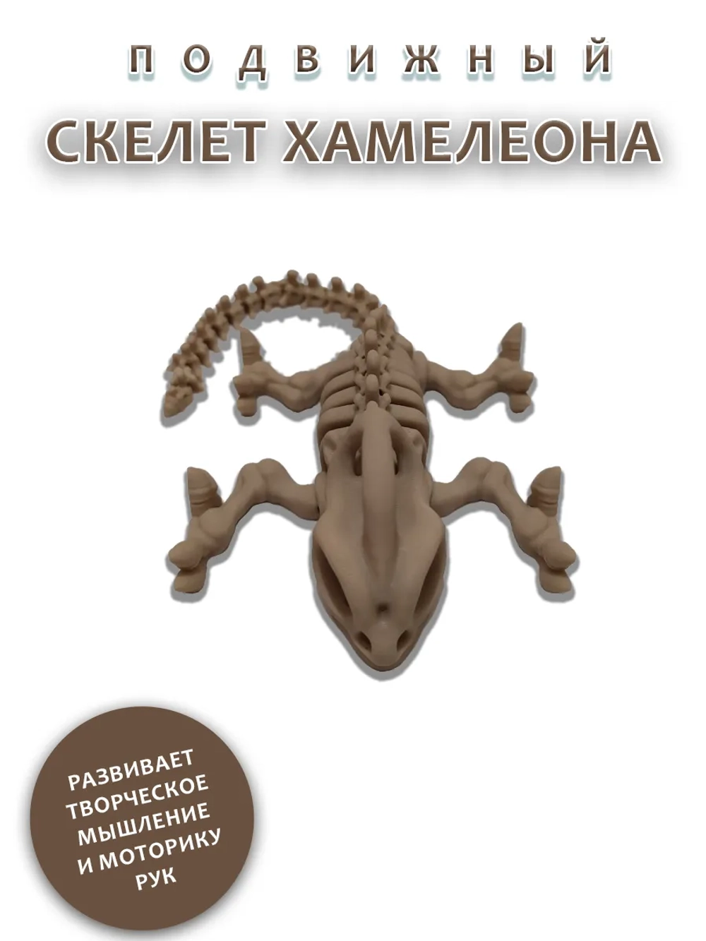 Скелет Хамелеона