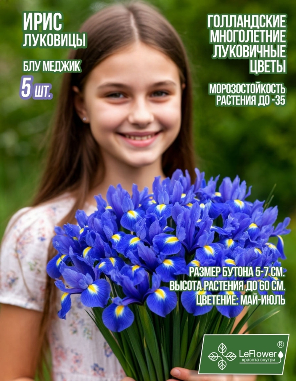 Ирис луковицы 5шт., Блю Меджик, для посадки в грунт. Голландия, Нидерланды