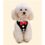 Шлейка с поводком для мелких пород собак и кошек «LAPUSIK», цвет черный, размер L