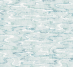 Обои York Candice Olson Natural Discovery NT6171