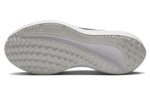 Кроссовки Nike Air Winflo 9 Prm (Женская размерная сетка)