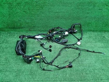 Проводка моторного отсека Haval F7 (2018-2024)