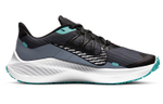 Кроссовки Nike Zoom Winflo 7 Shield (Женская размерная сетка)