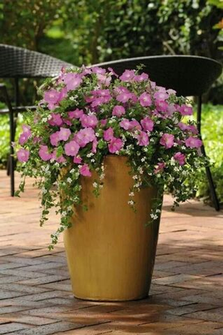 Композиция №3