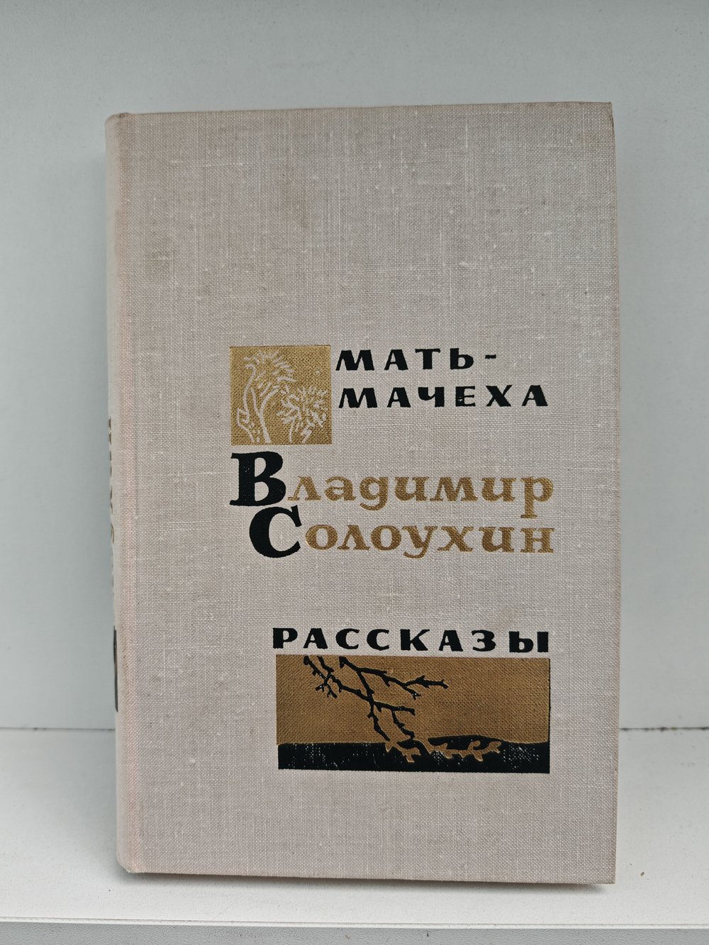 Мать-мачеха. Рассказы