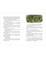 Деревенские приключения. Тайна Гусиных Лапок