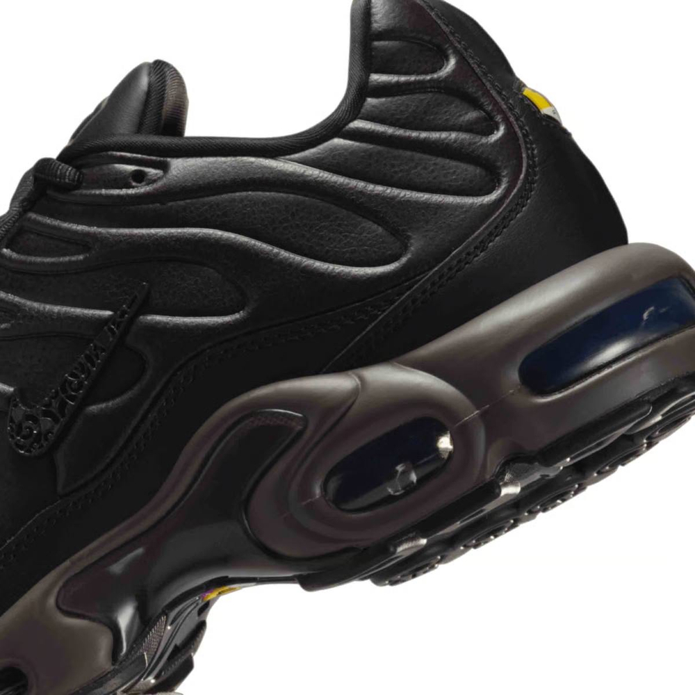 Nike Air Max Tn Plus Premium Paris
