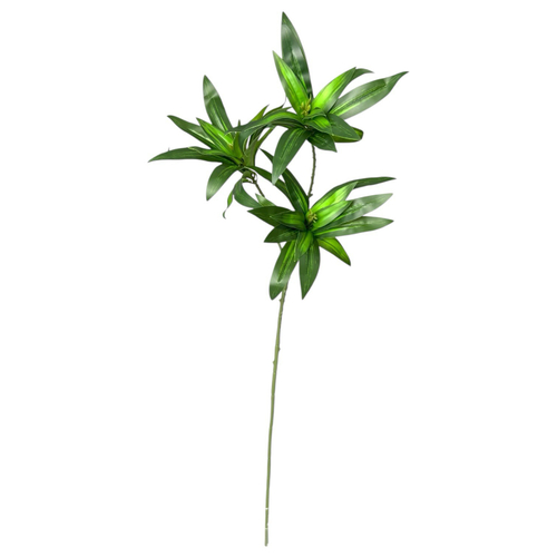 Драцена зеленая ветка 75 см.