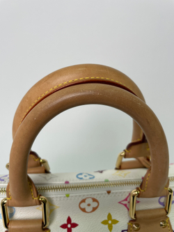 Сумка Louis Vuitton Speedy 30 Multicolor